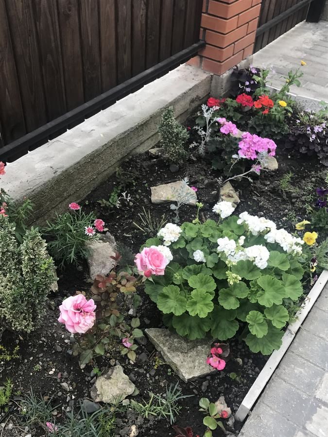 Гостевой дом Guest house GUMA Сухум-5